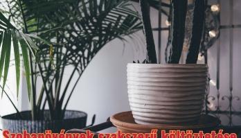 Akikre ritkán gondolunk, pedig őket is megviseli a költözés